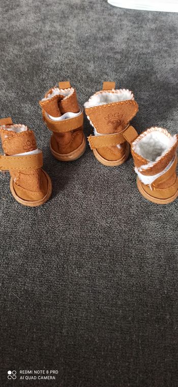 Chaussures pour chien t. S