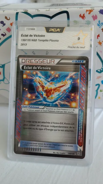 dresseur nb pca 9 