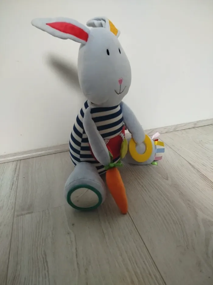 Lapin d'eveil oxybul - photo numéro 2