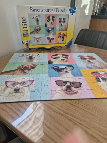 puzzle 8. chien avec lunettes