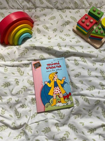 livre bibliothèque rose mimi cracra sous la pluie N°801