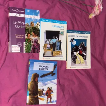 Lot livre