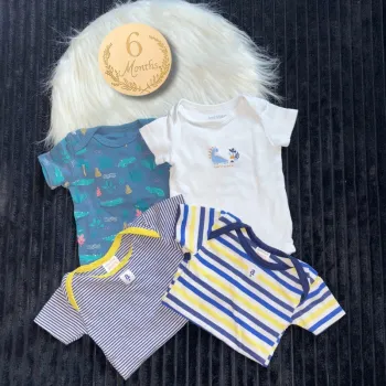 Lots de 4 bodys taille 6 mois