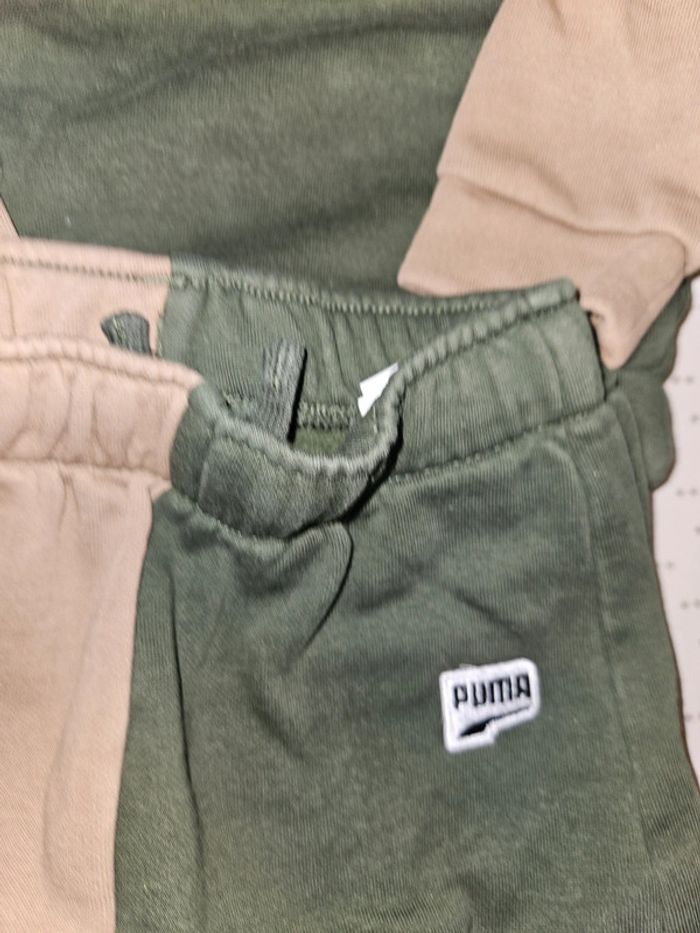 Ensemble puma marron et vert - photo numéro 2