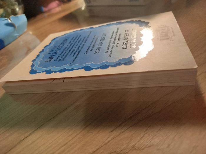 La quête des super-pouvoirs - photo numéro 4