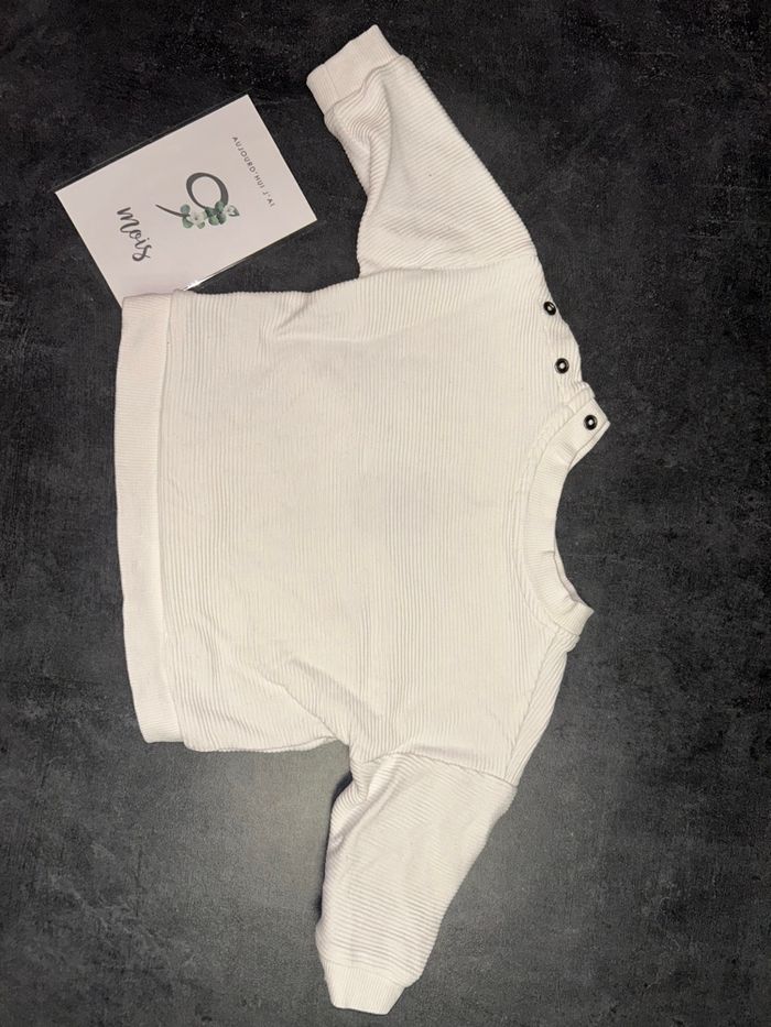 Pull koala - photo numéro 6