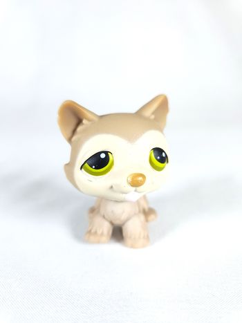 Littlest Petshop Husky #358