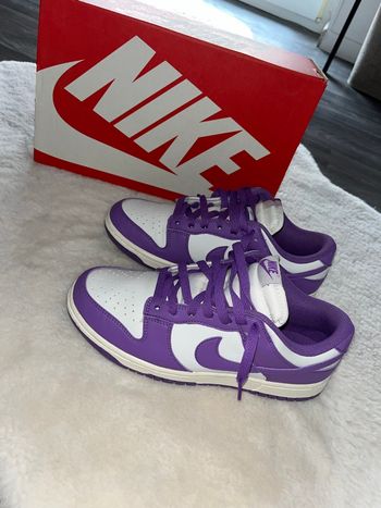 Dunk violette