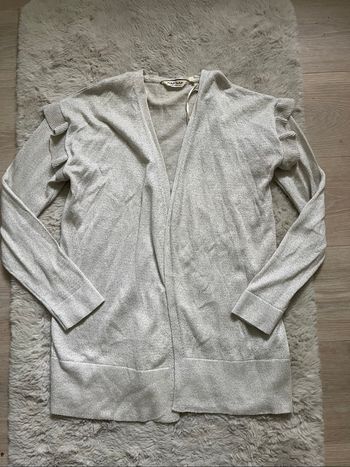 Gilet pailleté