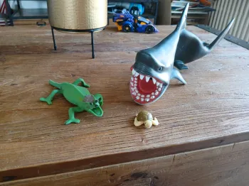 Lot 1 requin 1 tortue et un caméléon animaux
