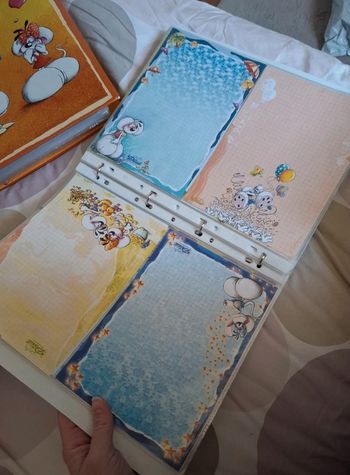 Classeur feuilles diddl