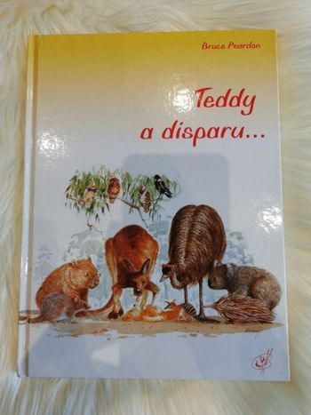 Livre Teddy a disparu...
