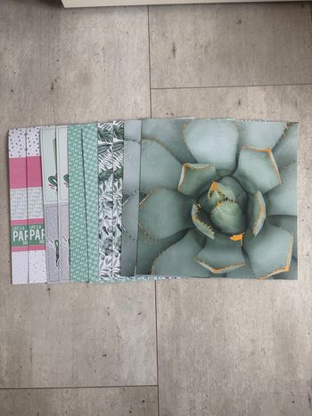 Lot de feuilles pour scrapbooking lot 12