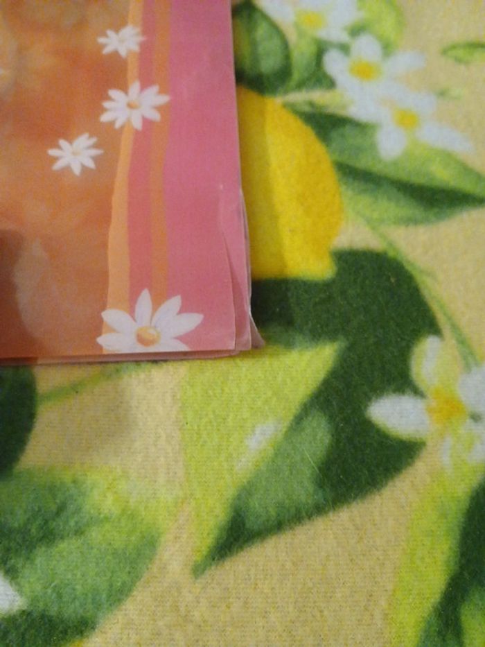 Pochette - photo numéro 3