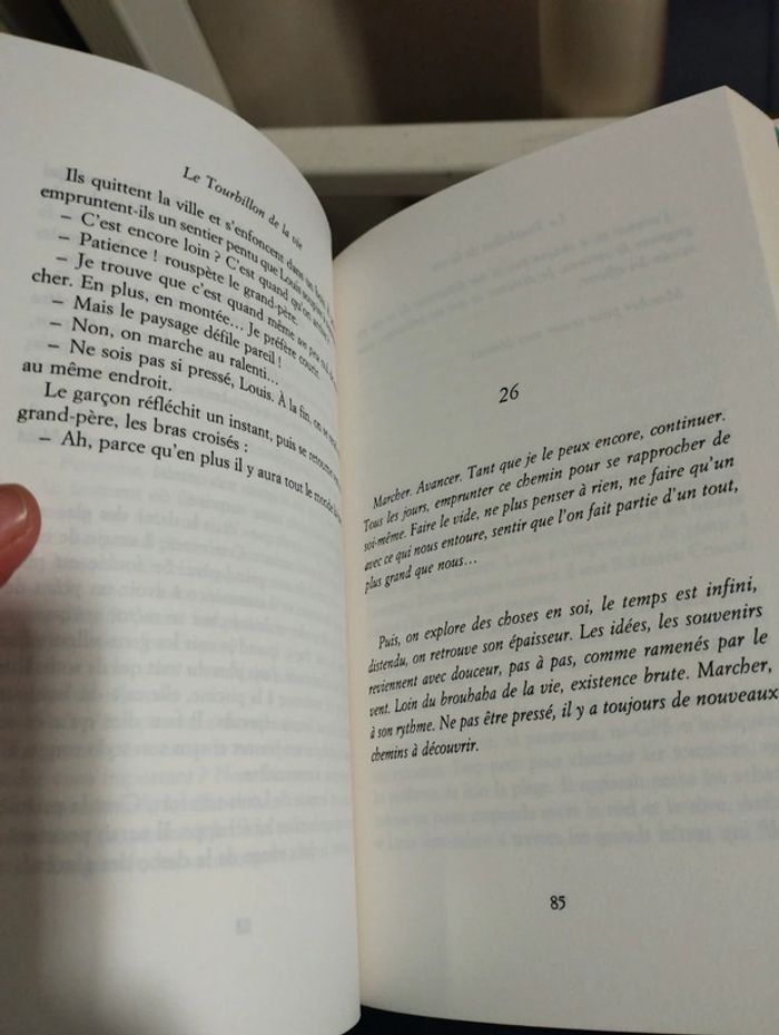 Le tourbillon de la vie Aurélie Valagnes grand format - photo numéro 3