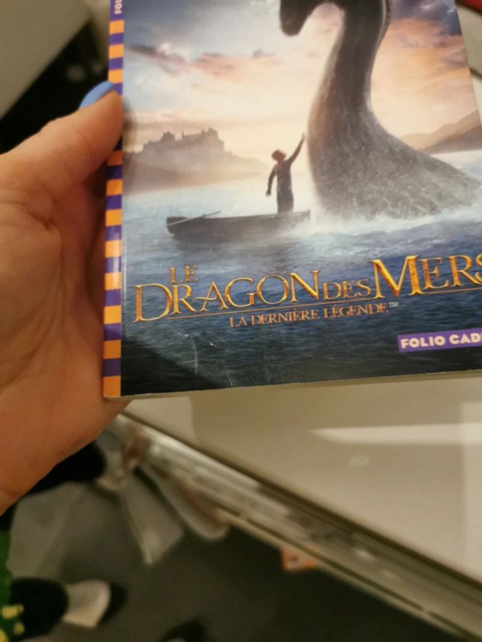 Roman le dragon des mers la dernière légende - photo numéro 6