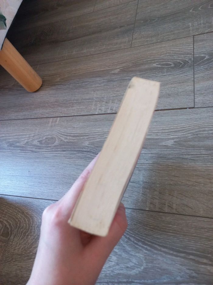 It girl- par l'auteur de Gossip girl - photo numéro 5