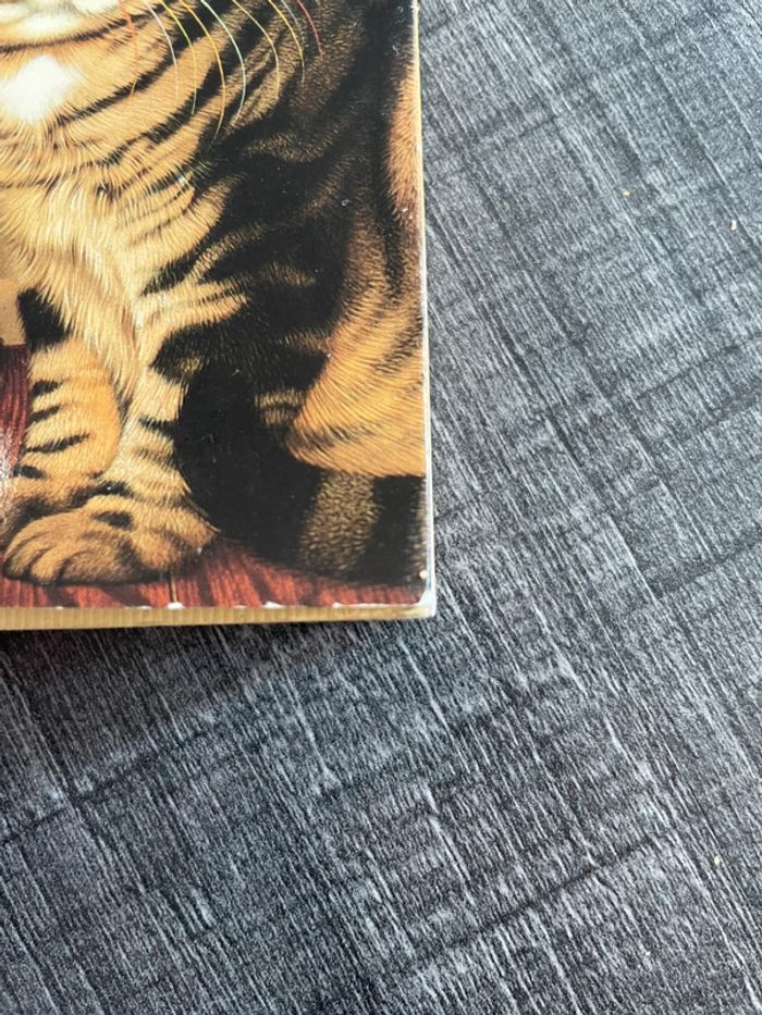 Livre le chat dans tous ses états de Jean-Louis Hue. - photo numéro 2