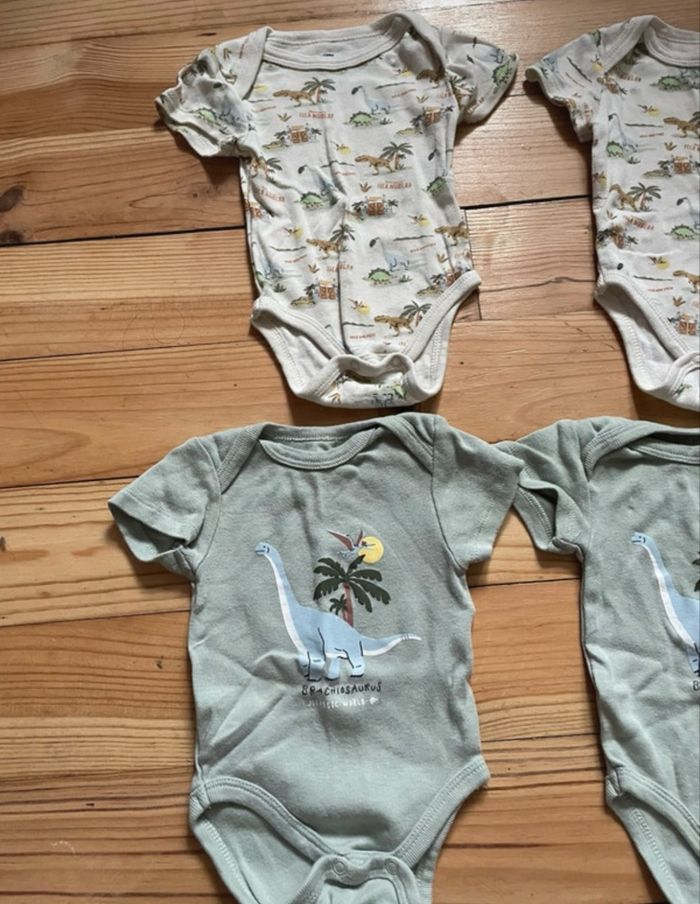 Body dinosaures - photo numéro 2