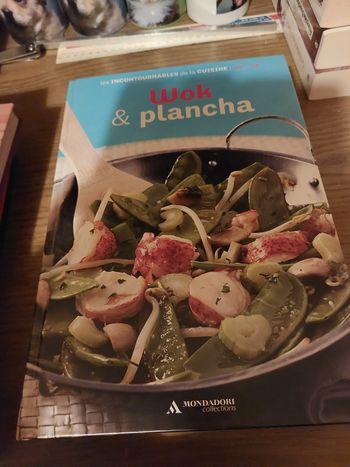 Livre de recettes  wok &plancha 