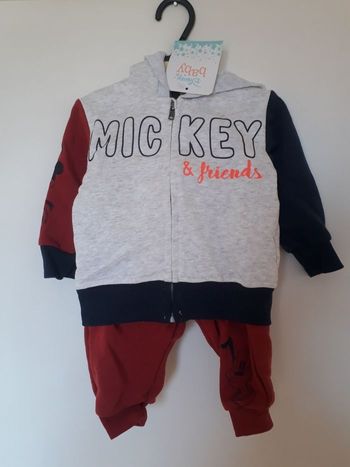 Jogging Mickey / Donald / Dingo