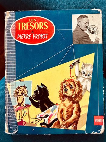 Grand album livre ancien Les trésors de Pierre Probst auteur Caroline bleu pouf noiraud