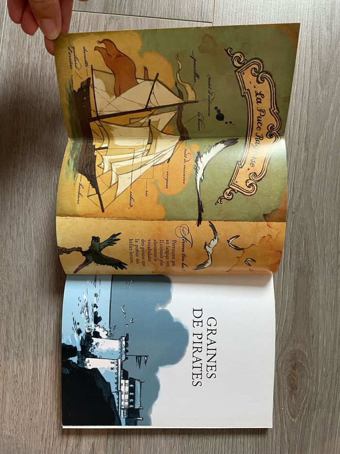 Graines de pirates - photo numéro 3