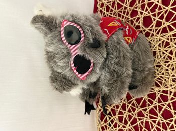 Peluche Koala vintage années 90, vêtements et lunettes de soleil, souvenirs d'Australie. Collection