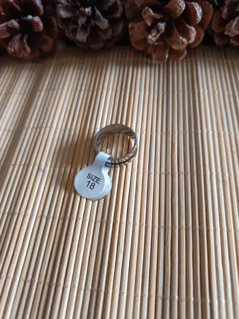 Bague taille 18 acier