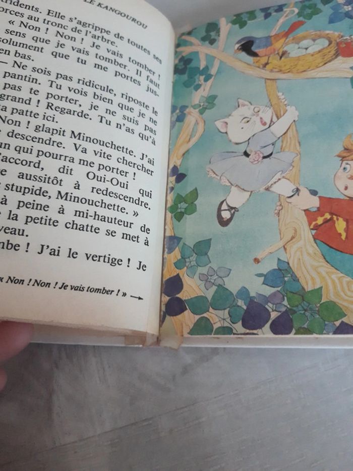 Oui-Oui et le kangourou - photo numéro 9