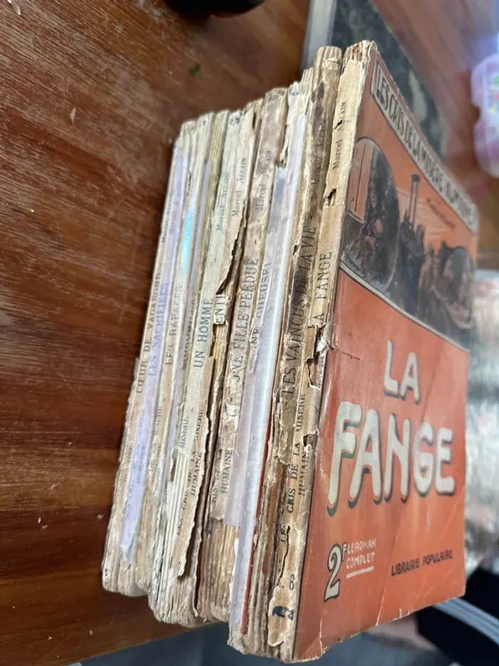Lot de 12 livres les cris de la misère humaine - photo numéro 13