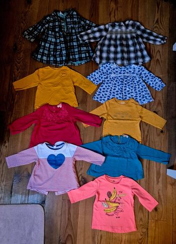 Lot de 9 articles manches longues pour bebe fille