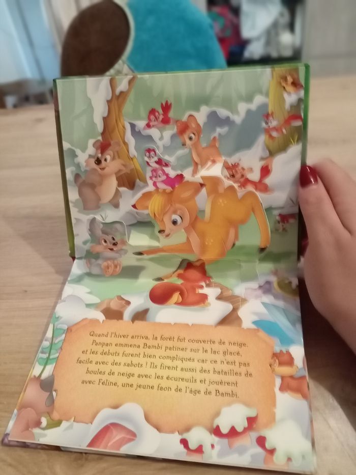 Livre - photo numéro 2