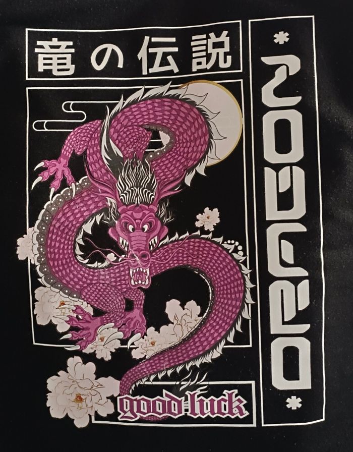 Sweat shirt / Pull Dragon