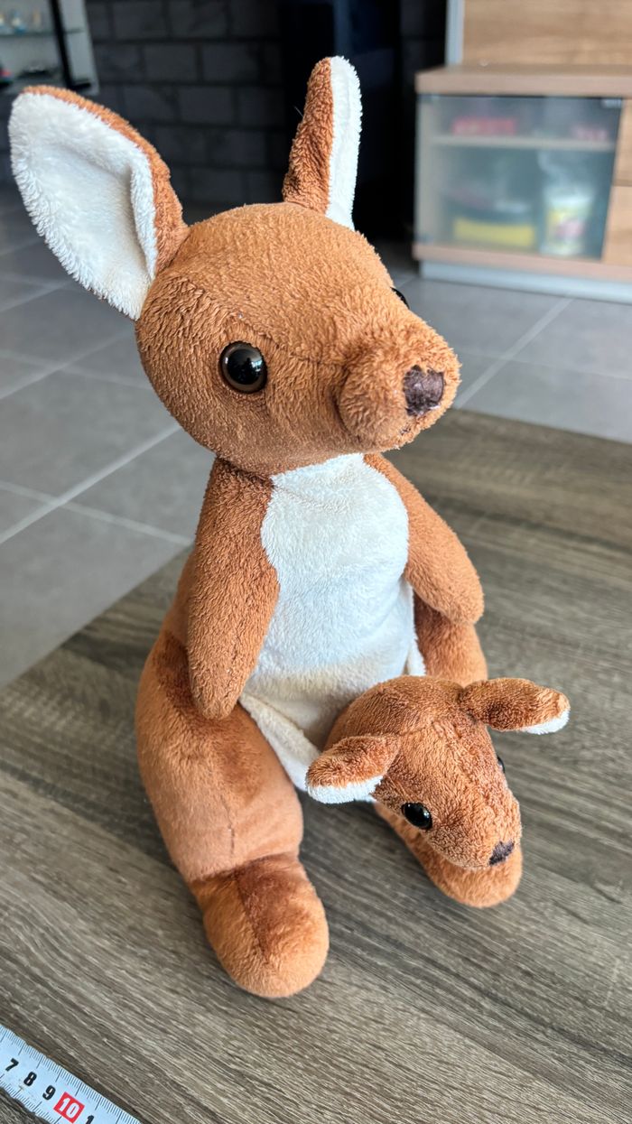 Kangourou avec bébé - photo numéro 3