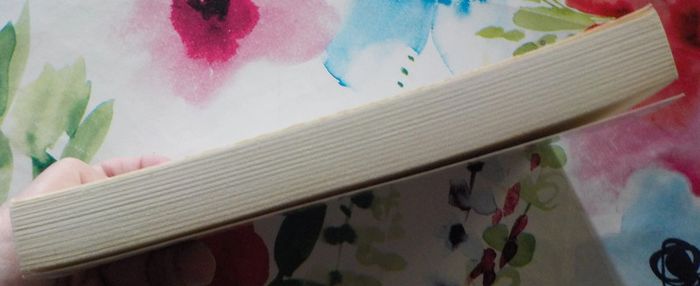 Projet d'espoir par François Bayrou Ed. Plon - photo numéro 4