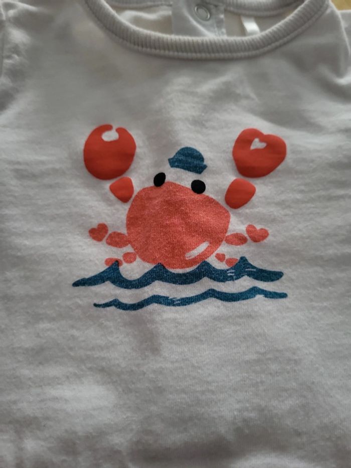 Combishort crabe - photo numéro 3