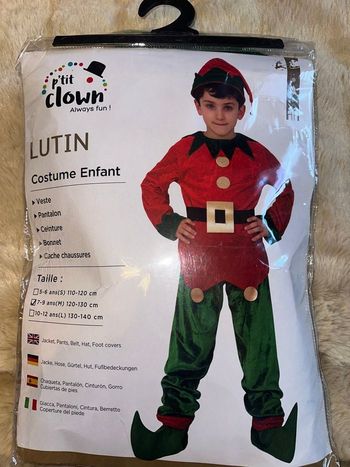 Costume lutin