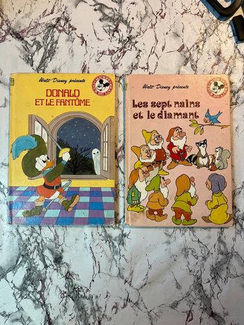 Lot Livre Disney x2