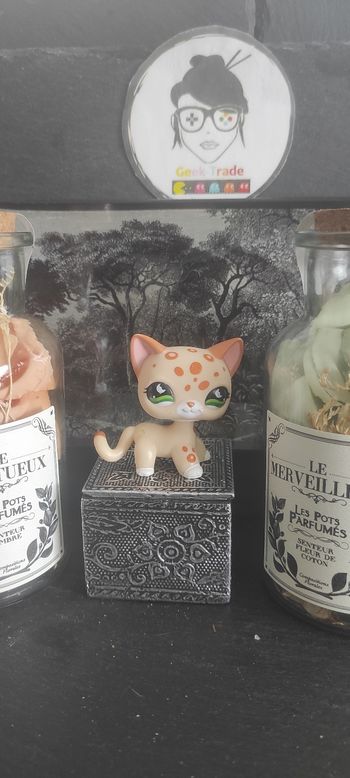 Littlest Petshop Pet Shop LPS Authentic  Authentique cat Shorthair European 852