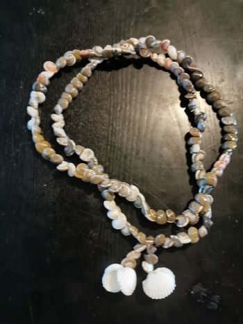 Collier coquillages