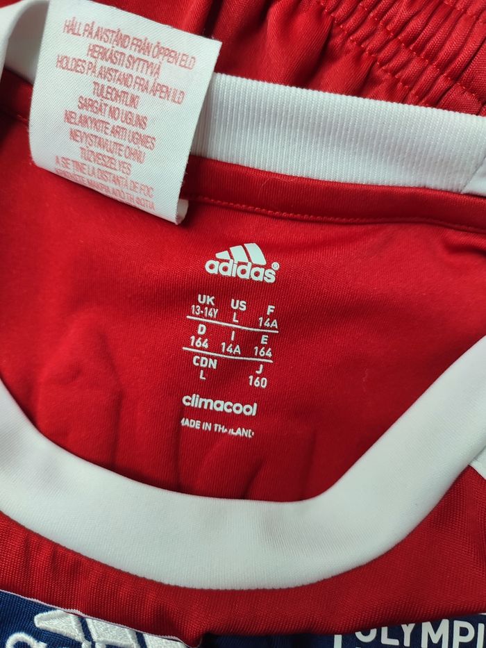 Ensemble olympique lyonnais 2013-2014 - photo numéro 8