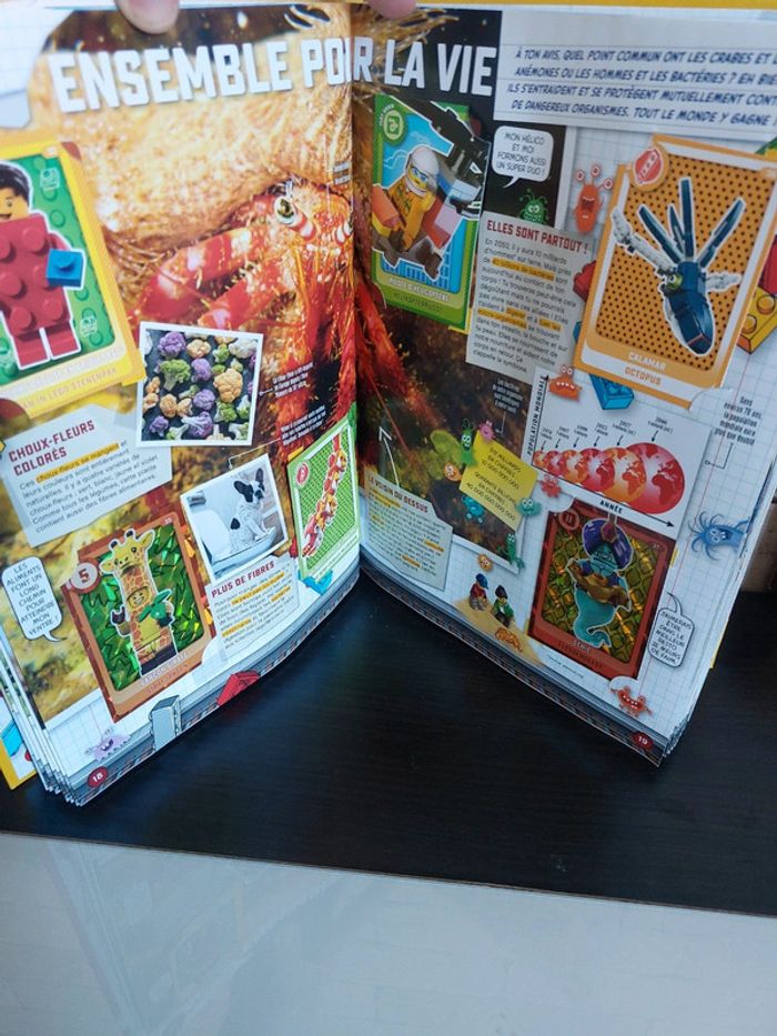 album collector lego - photo numéro 2