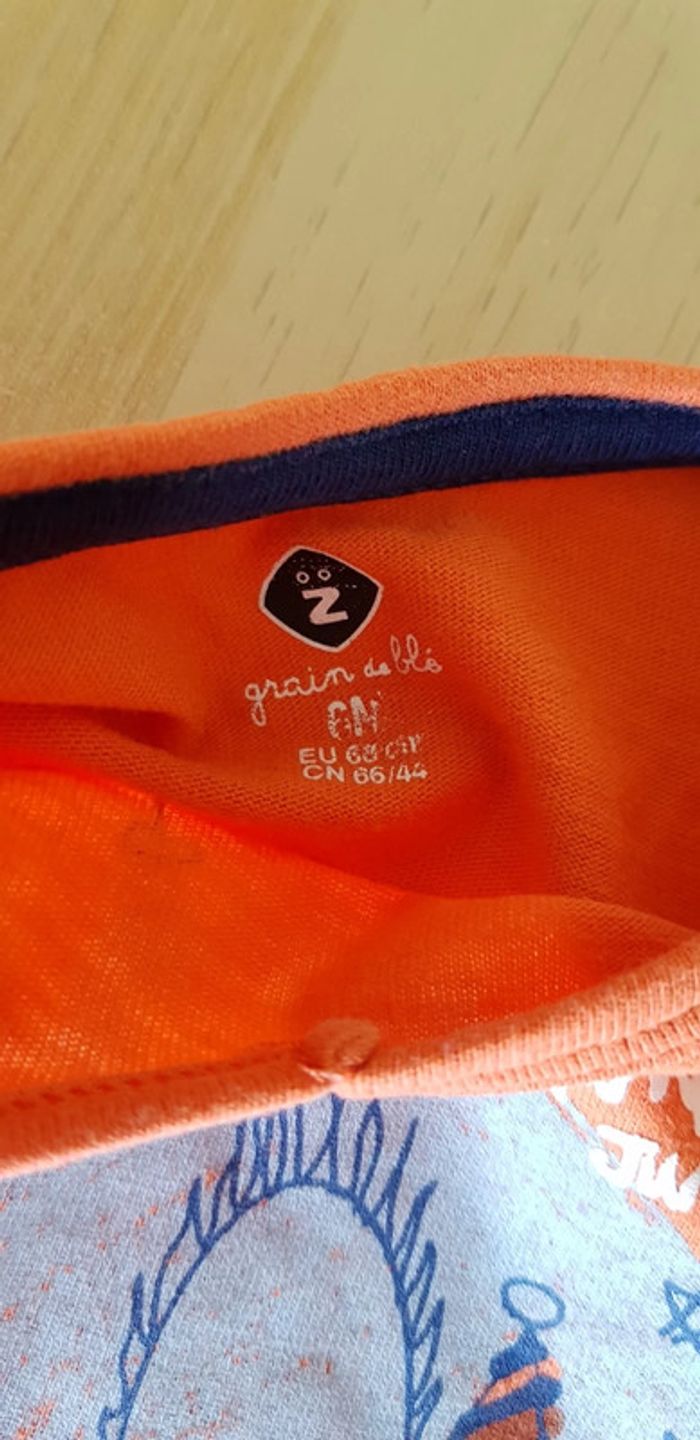 Tee-shirt Grain de blé 6 mois - photo numéro 2