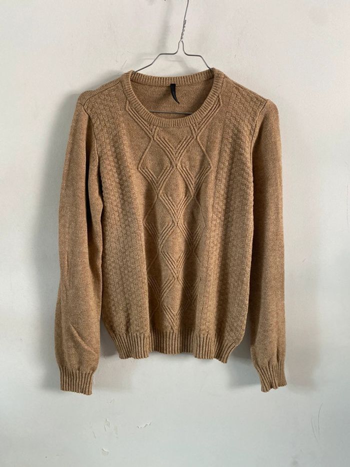 Pull chicorée