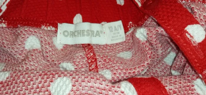 orchestra - photo numéro 3