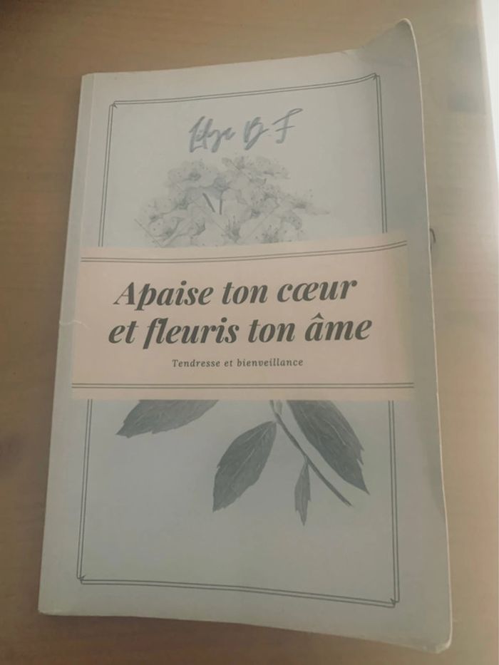 Livre apaise ton cœur et fleuris ton âme de Lylia B.F