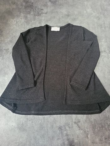 Gilet fille 6 ans charlie et prune très bon état