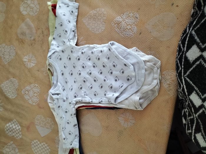 Bodis - photo numéro 5