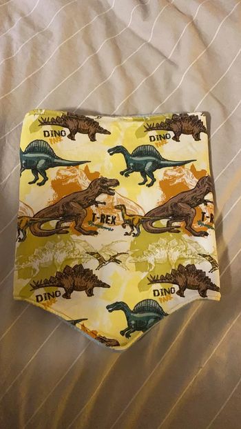 Cache cou ( echarpe) dinosaure